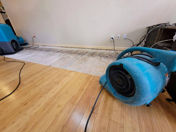 Professional Water Damage Repair technician working in Antioch, TN